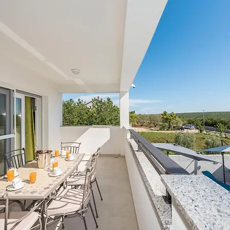 فيلة Palmarosa *