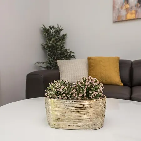 Villa Palmarosa Debeljak